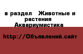  в раздел : Животные и растения » Аквариумистика 